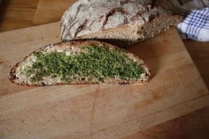 tartine d'ortie